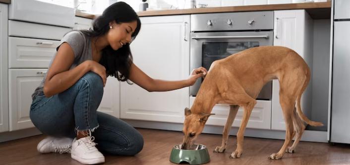 Do you know what are the benefits of feeding a dog? 3 dogg 4